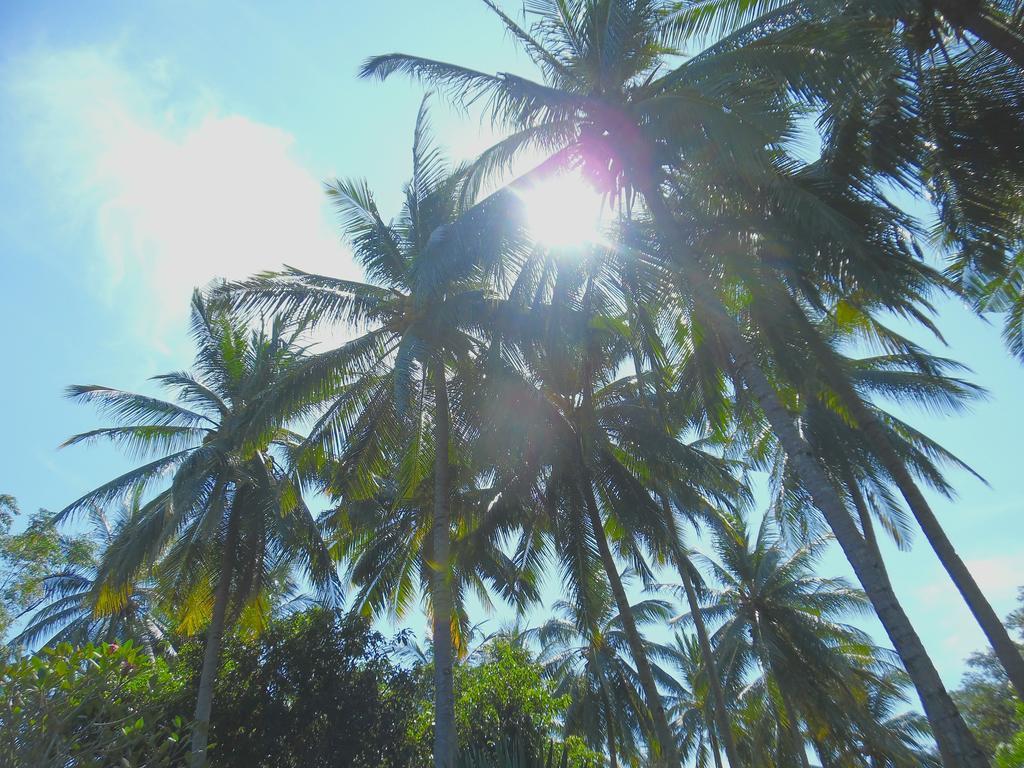 Lazy Monkey Hotel Senggigi Esterno foto
